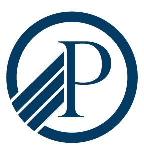 P3 Technology logo