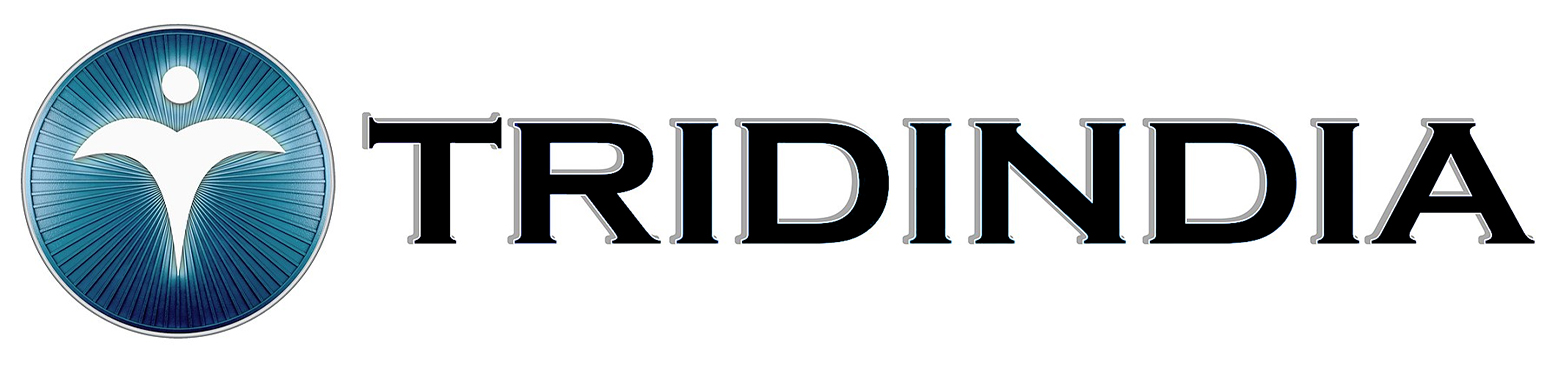 Tridindia logo